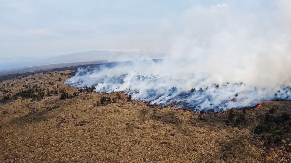 (Hawaii Dept. of Land and Natural Resources)